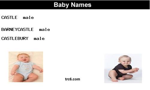 barneycastle baby names